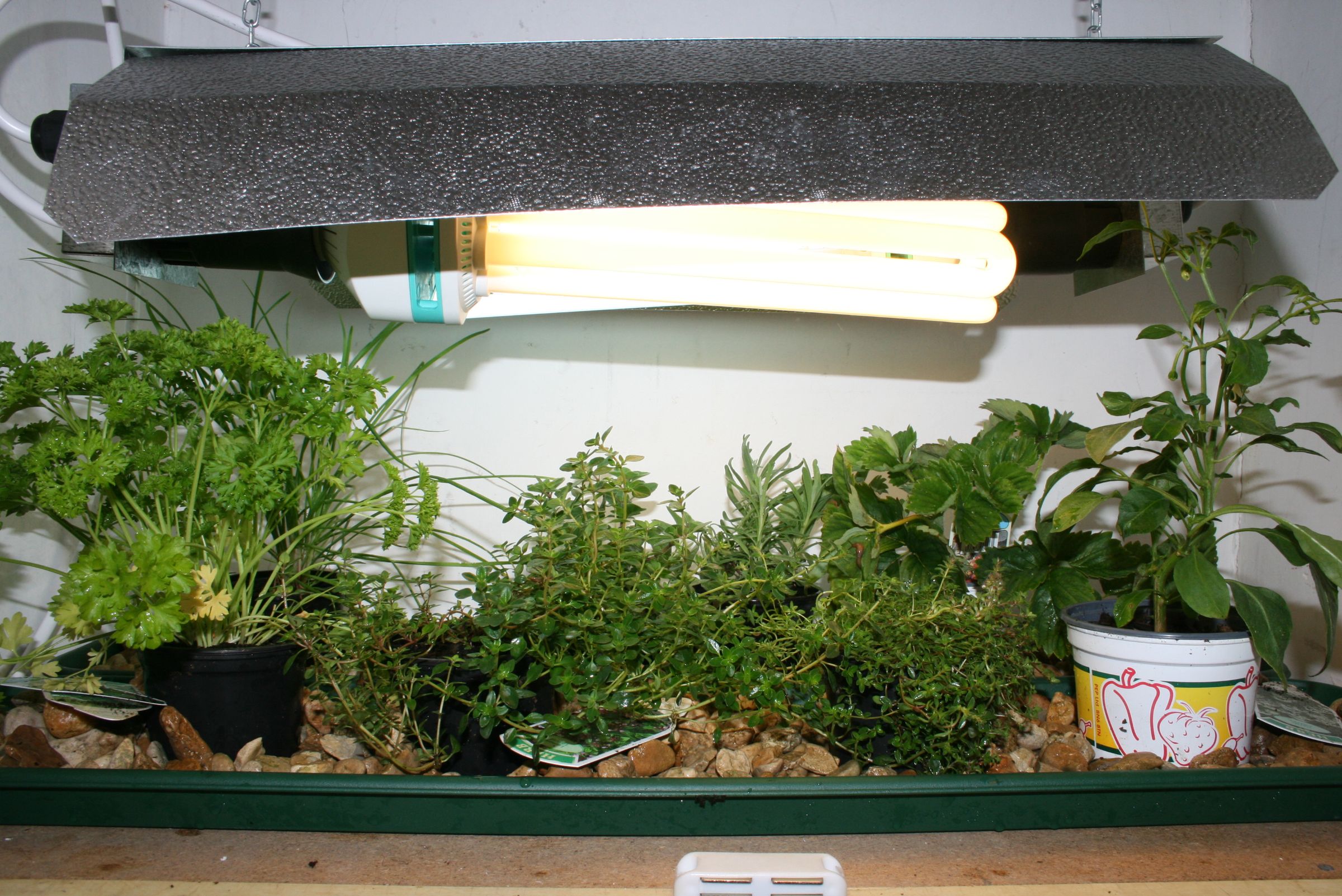 Indoor Grow Space Automation Part 1