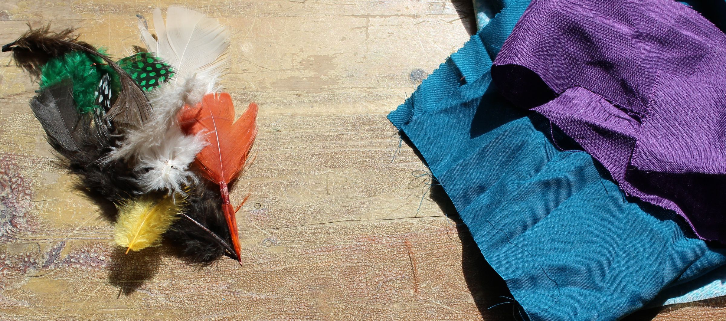 Feather Cat Toy