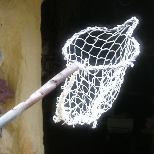 Net Fruit Picker