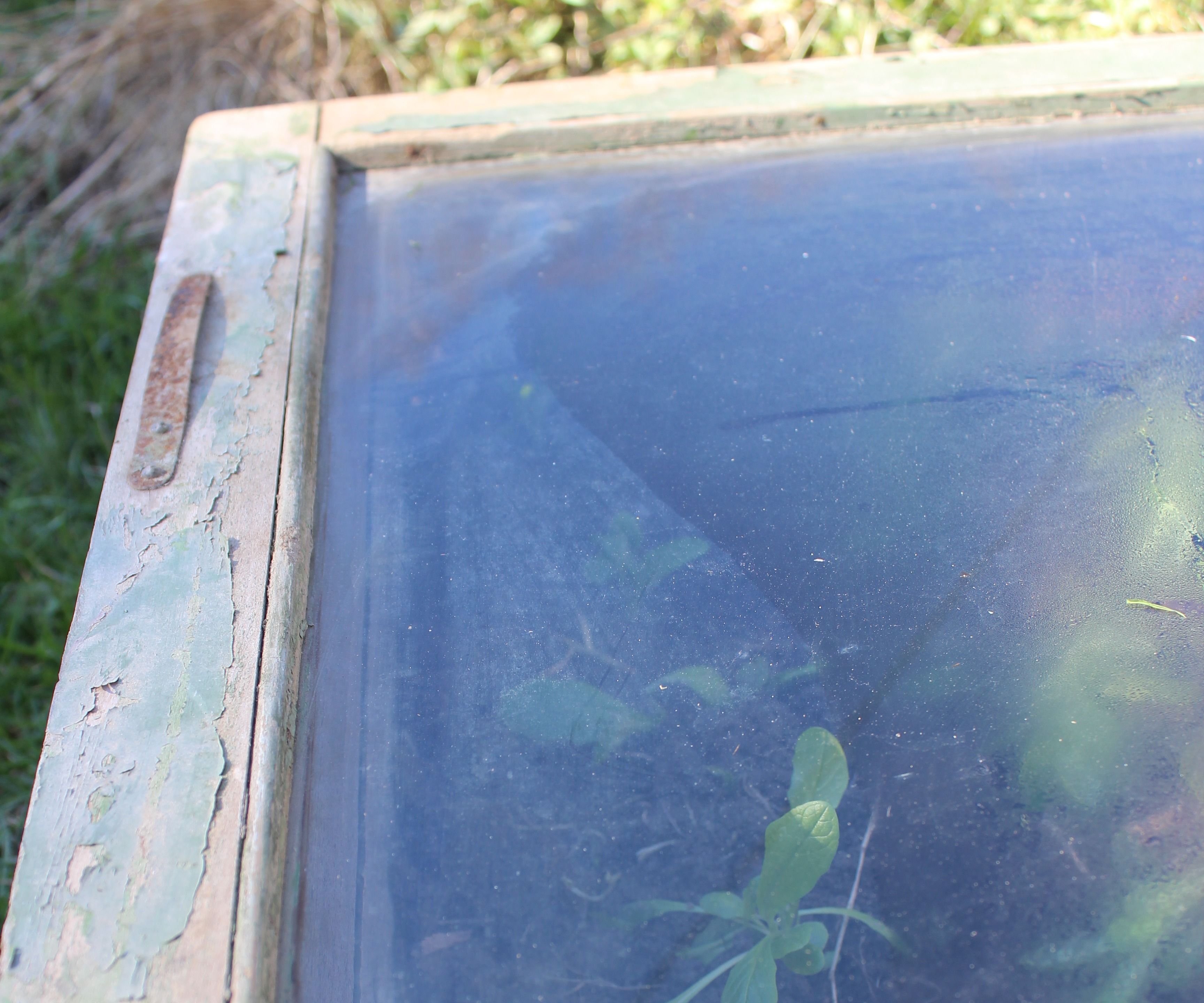 How to Recycle Old Windows Into Small Greenhouses