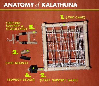 What You Are Going to Need: