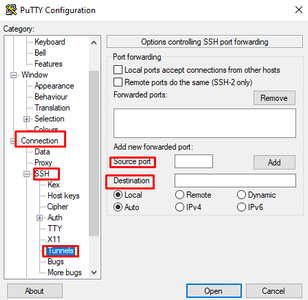 Enable Dynamic Forwarding