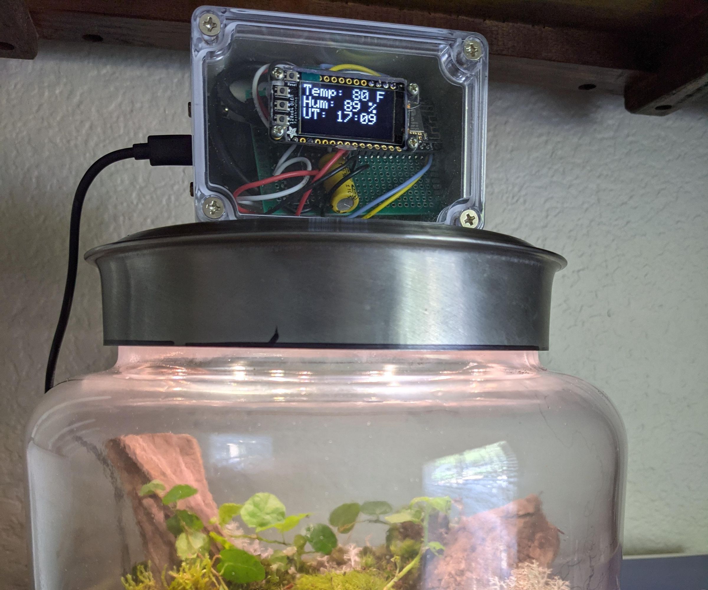 Automatic Terrarium