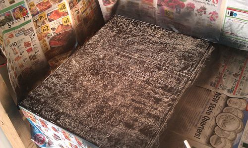 Prep the Surface for Use