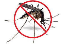 Outdoor protection agains mosquitos