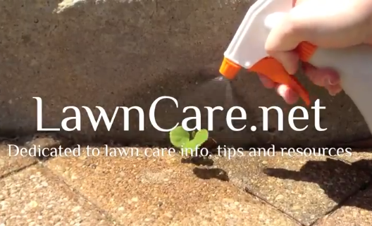 How to Make Vinegar Weed Killer