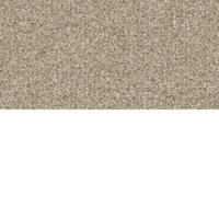 download {{ file.name }}
