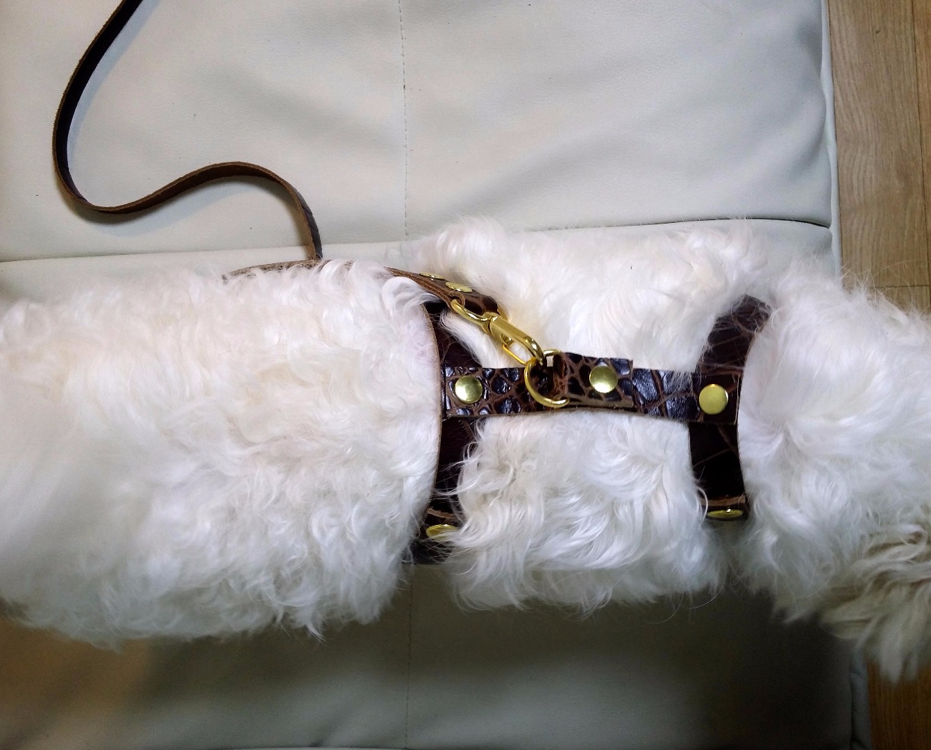 Leather Dog Harness & Strap! 1 HOUR! 9 Steps (with Pictures