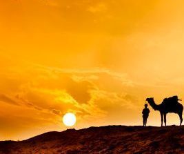How to Pack for a Desert Safari