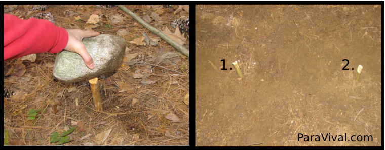 How to Make a Spring Loaded Deadfall Trap Using Your Paracord Gear : 9 ...