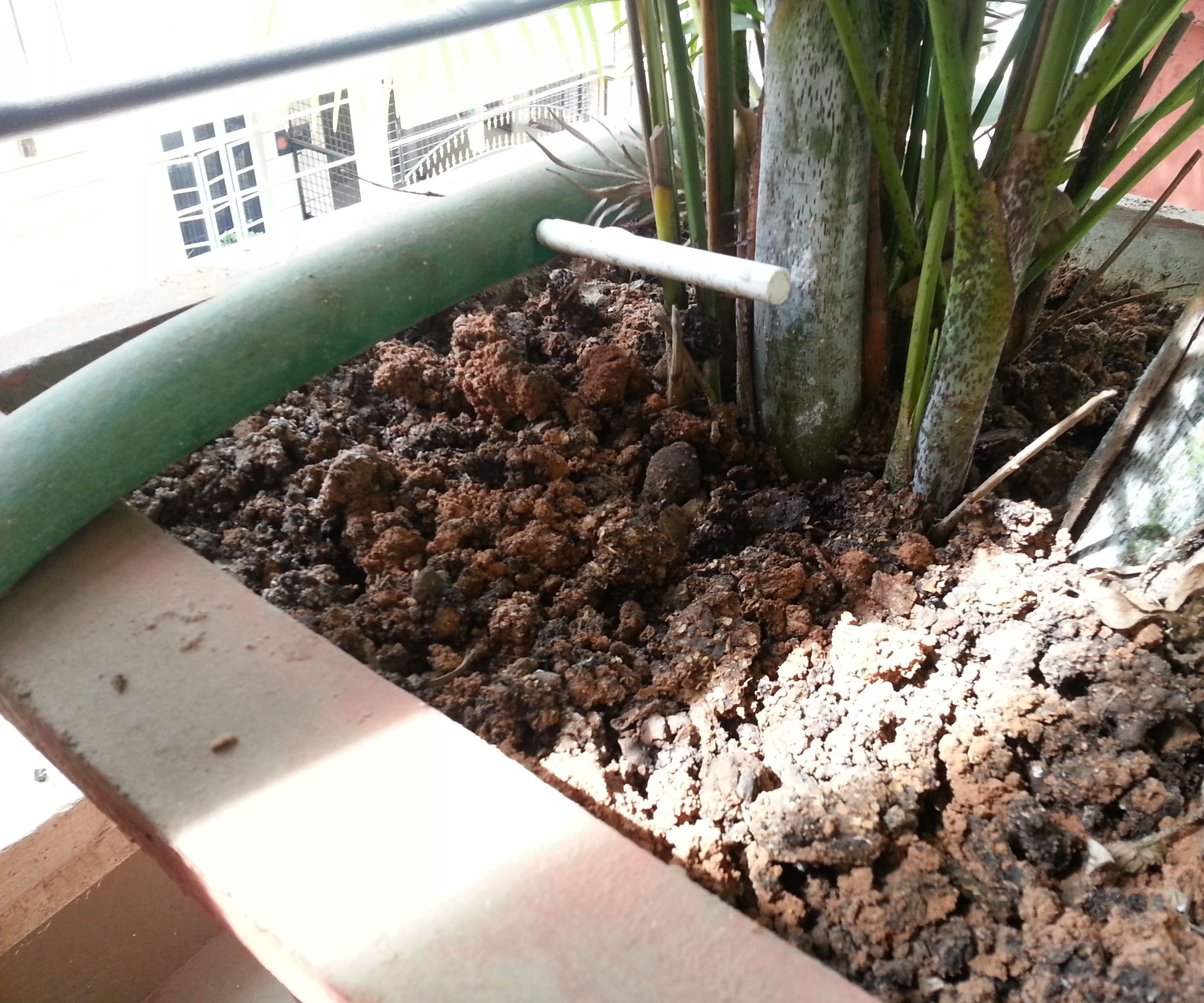 Home Plant-watering System 