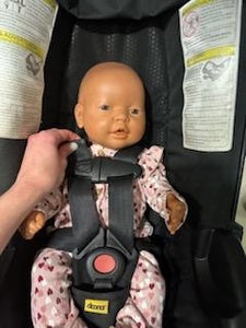 Perform a Pinch Test