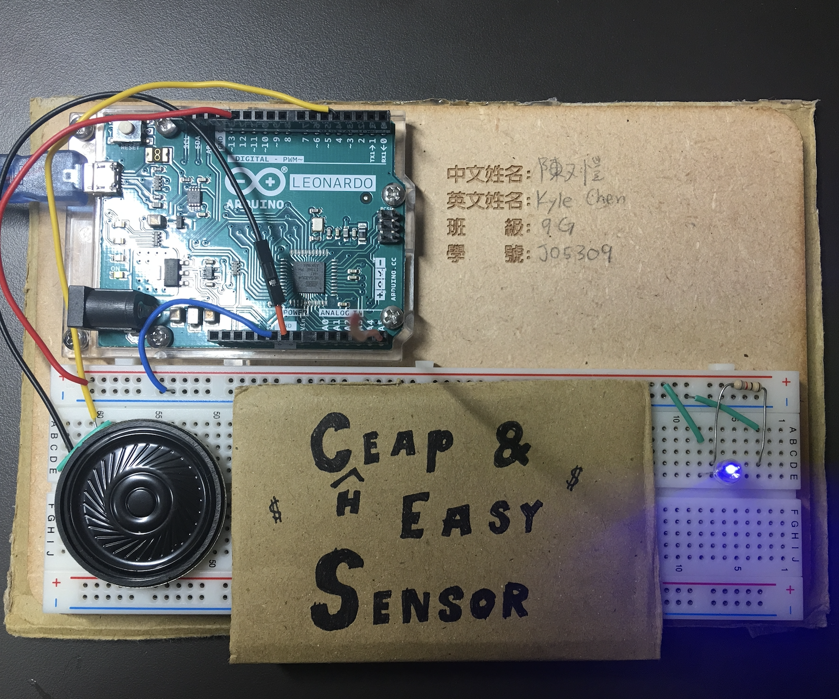 Cheap and Easy Sensor