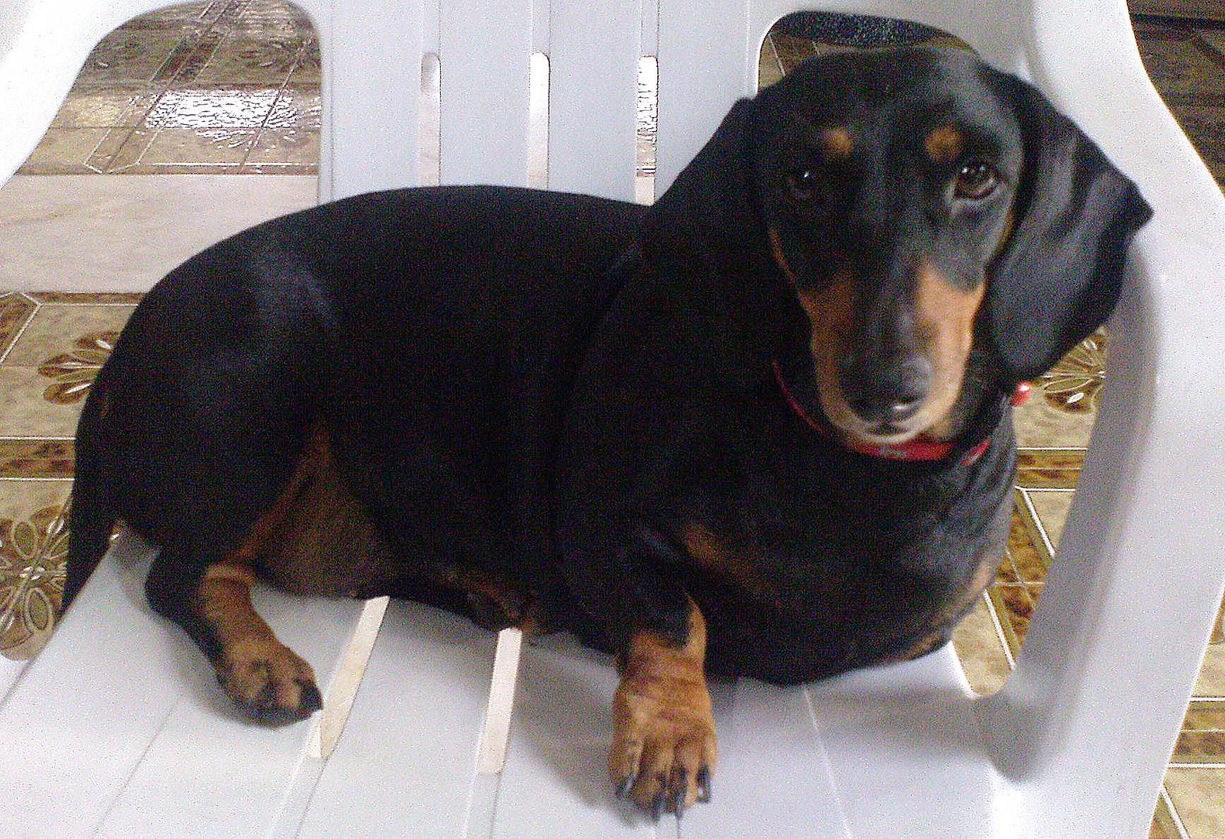 popsicle_mini-models