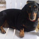 popsicle_mini-models