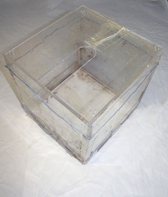 Growing Square Watermelons for $8