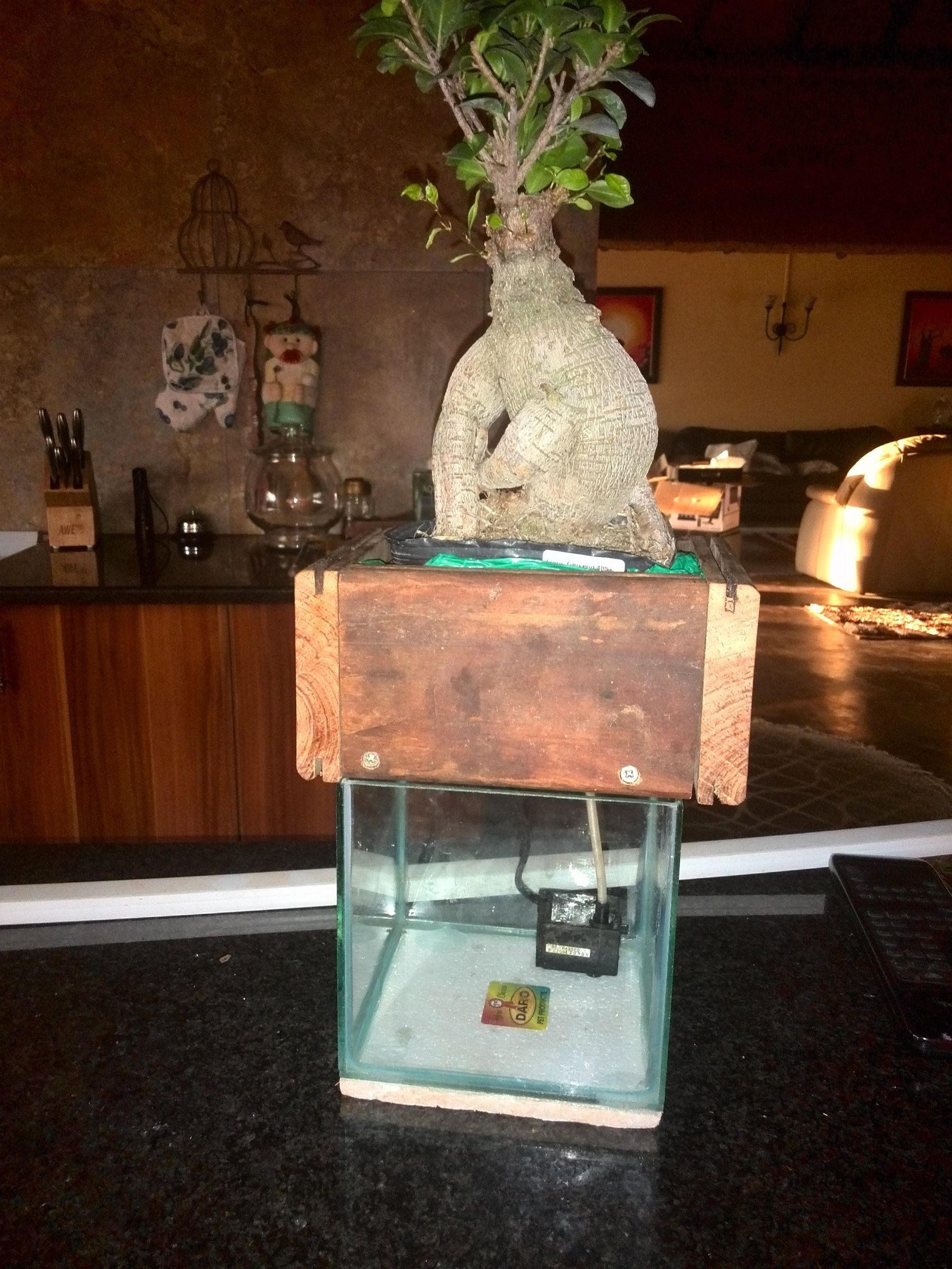 Bonsai Aquaponic 9 Steps Instructables