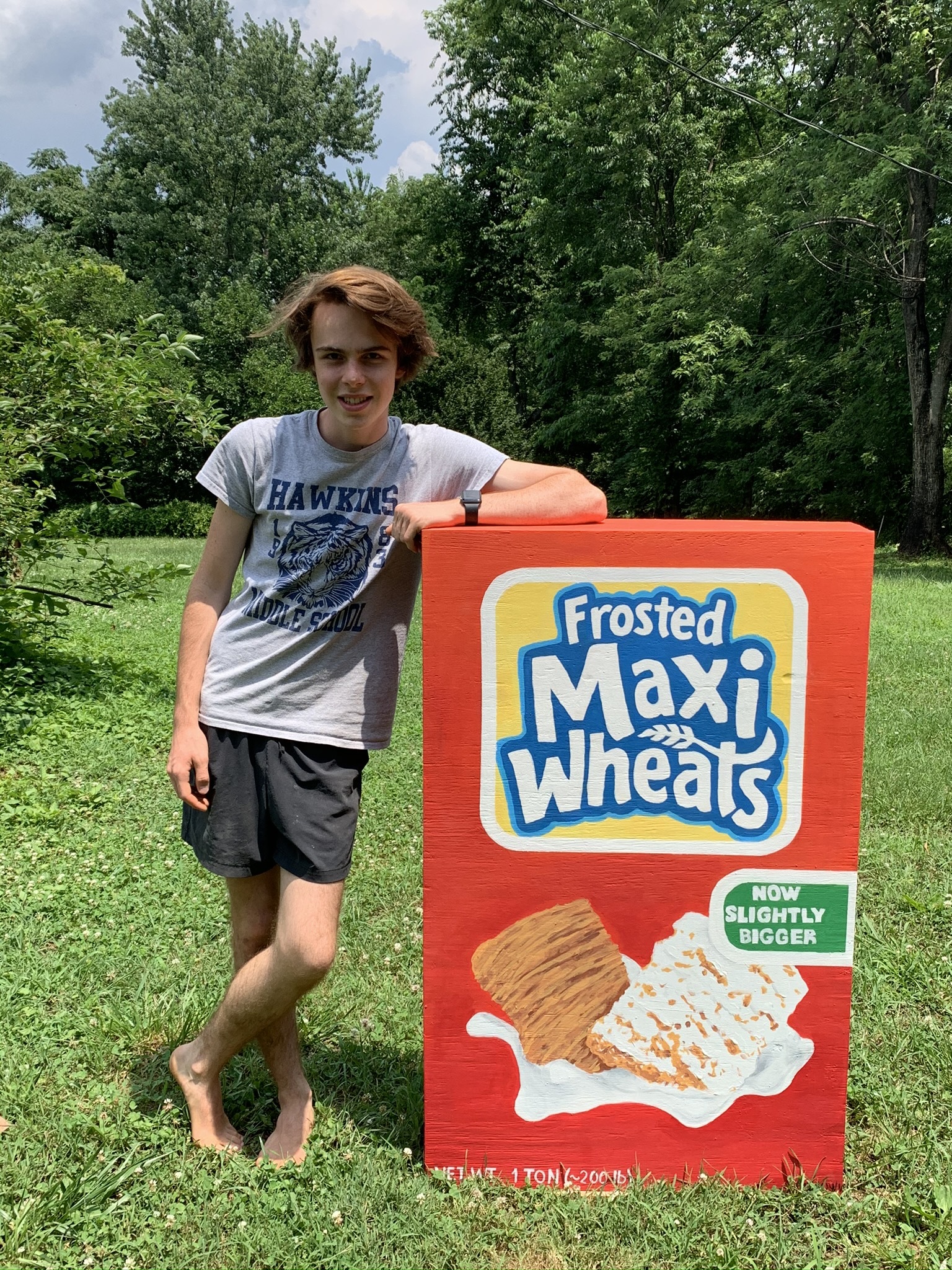 Giant Cereal Box/Secret Shelf 16 Steps (with Pictures) Instructables