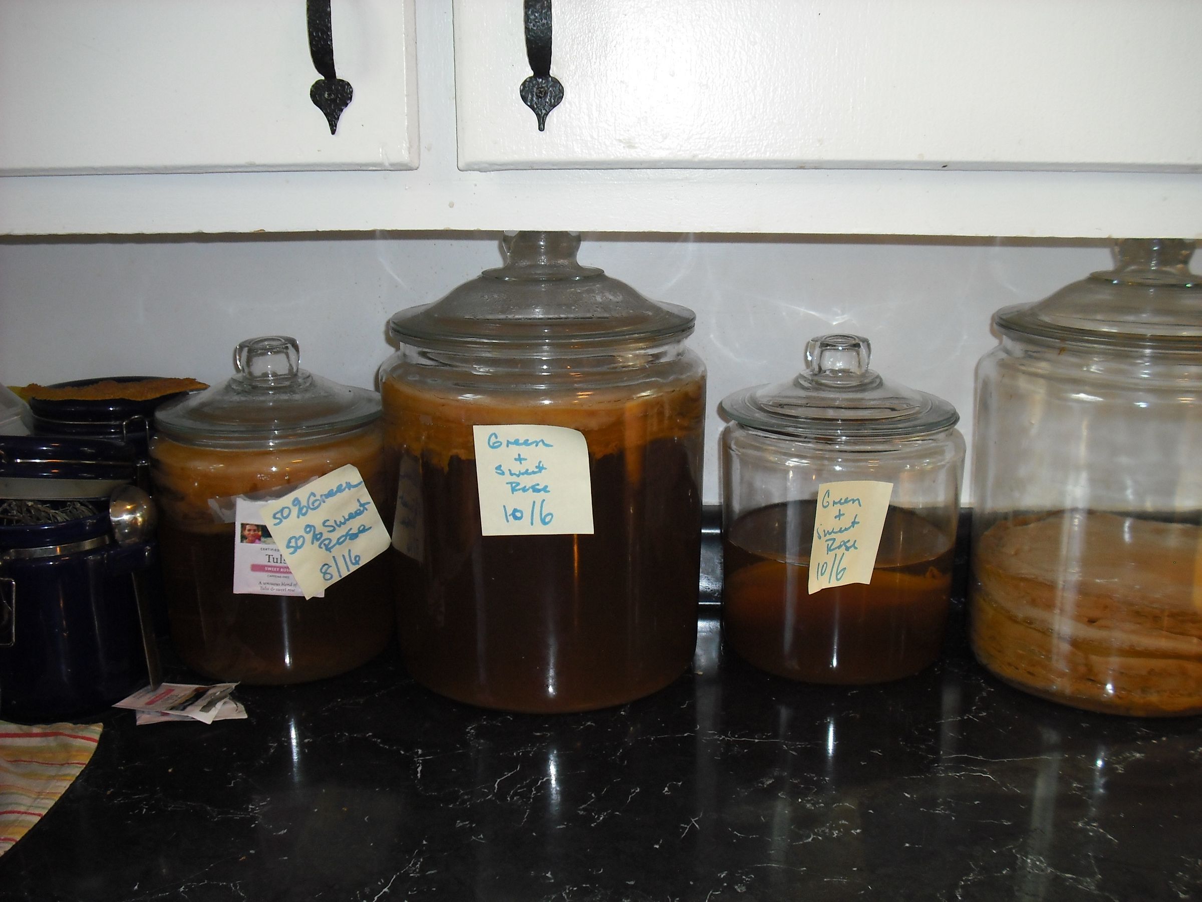 How to Brew Kombucha.