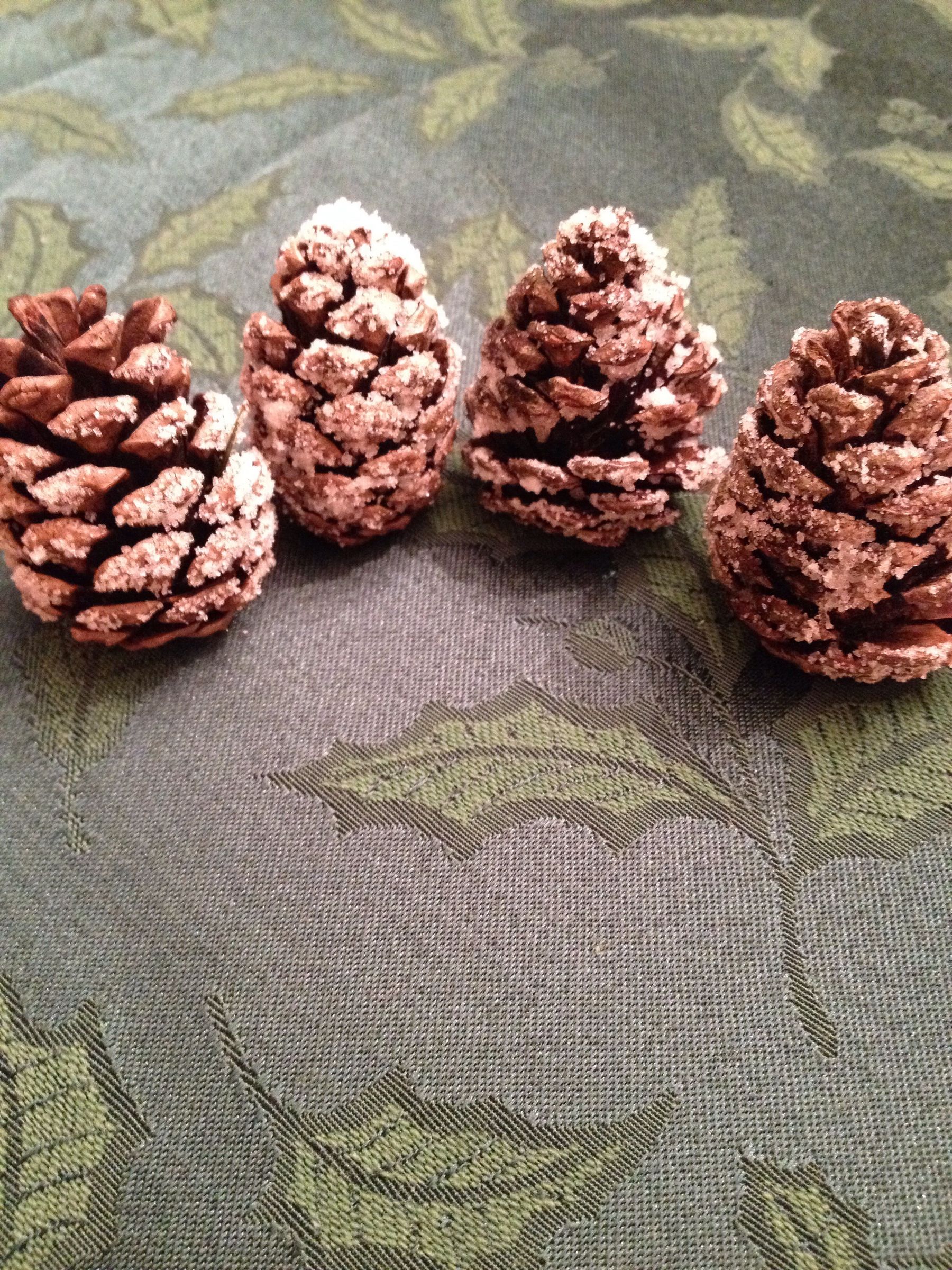 Snow Covered Pinecones