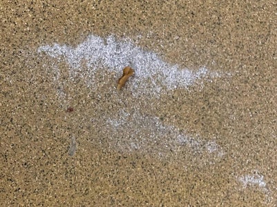 Cleaning Up the Mess