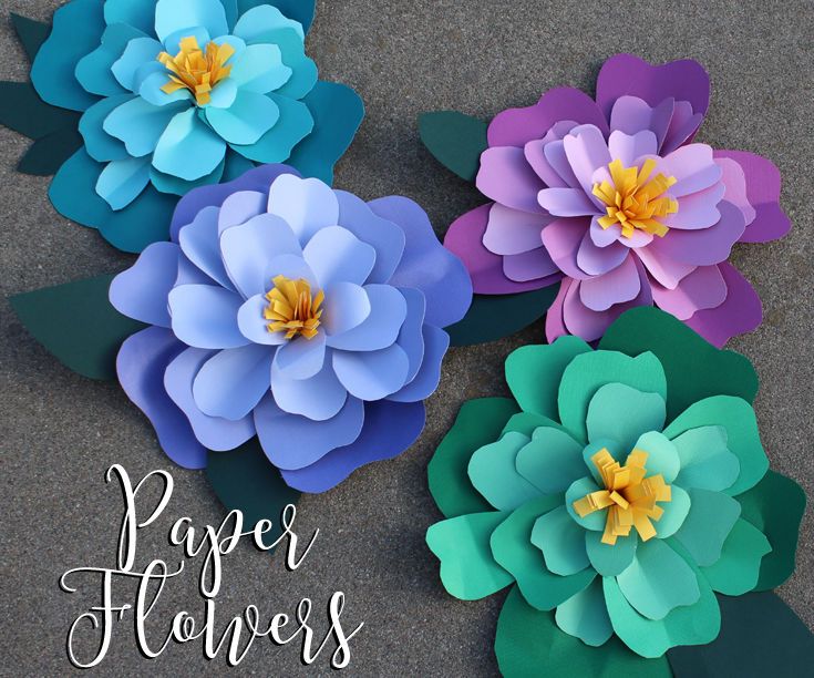 Giant Peony Flowers!