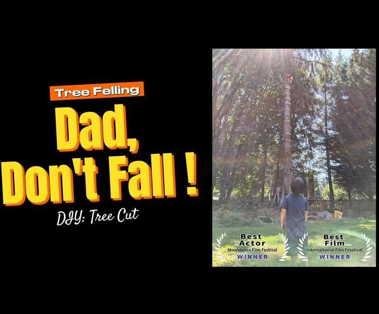 DIY: Build a Ladder and Cut the Tree - Removing Large Trees Near Fences or Houses