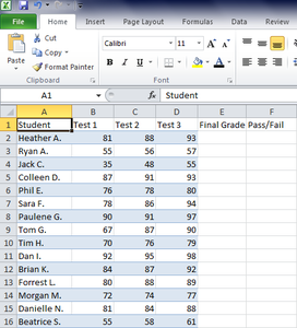 Microsoft Excel 2010 Basic Instructions for Beginners : 23 Steps ...
