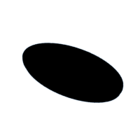 download {{ file.name }}