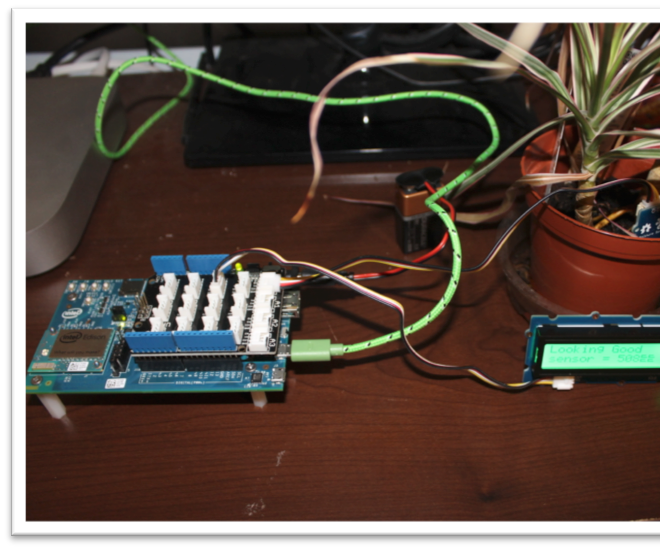 Kids Plant Moisture Detector