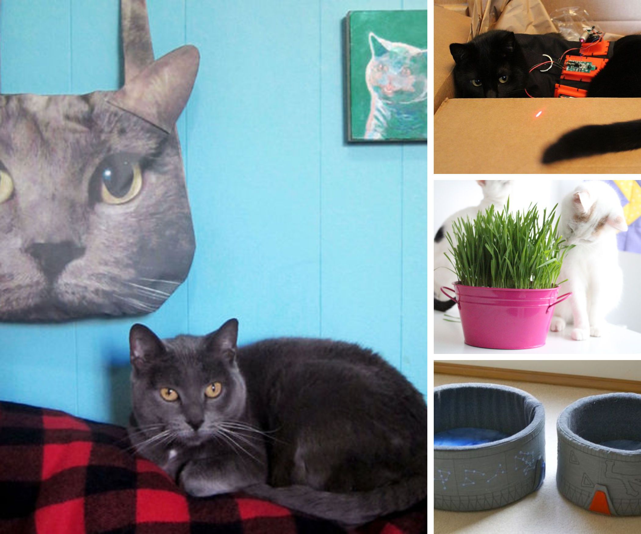Cat Lover Gifts