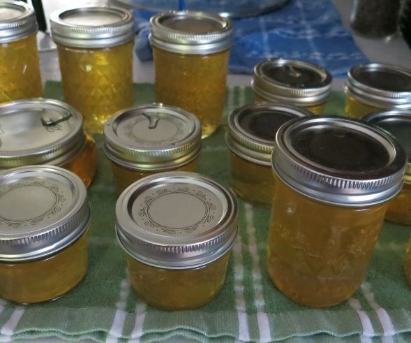 Lemon Honey Jelly