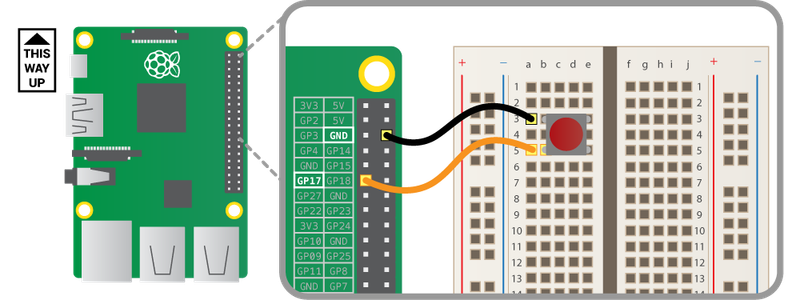 Connect the Button