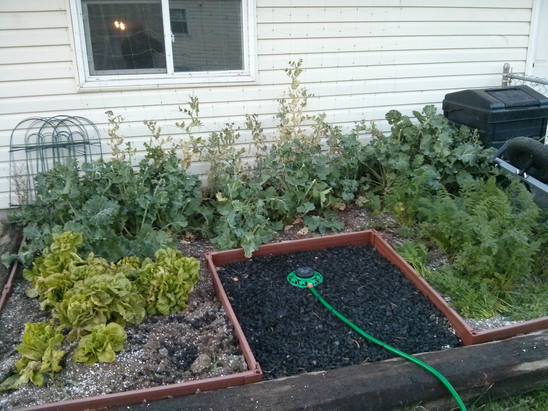 What to Do When You Have Too Much Kale 5 Steps Instructables