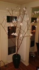 Blossom tree
