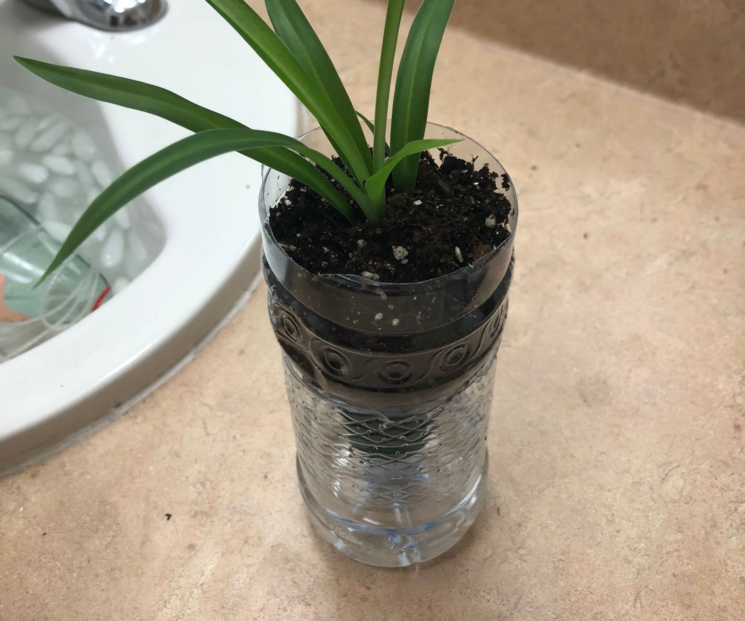 Recycled Self-Watering Water Bottle Pot