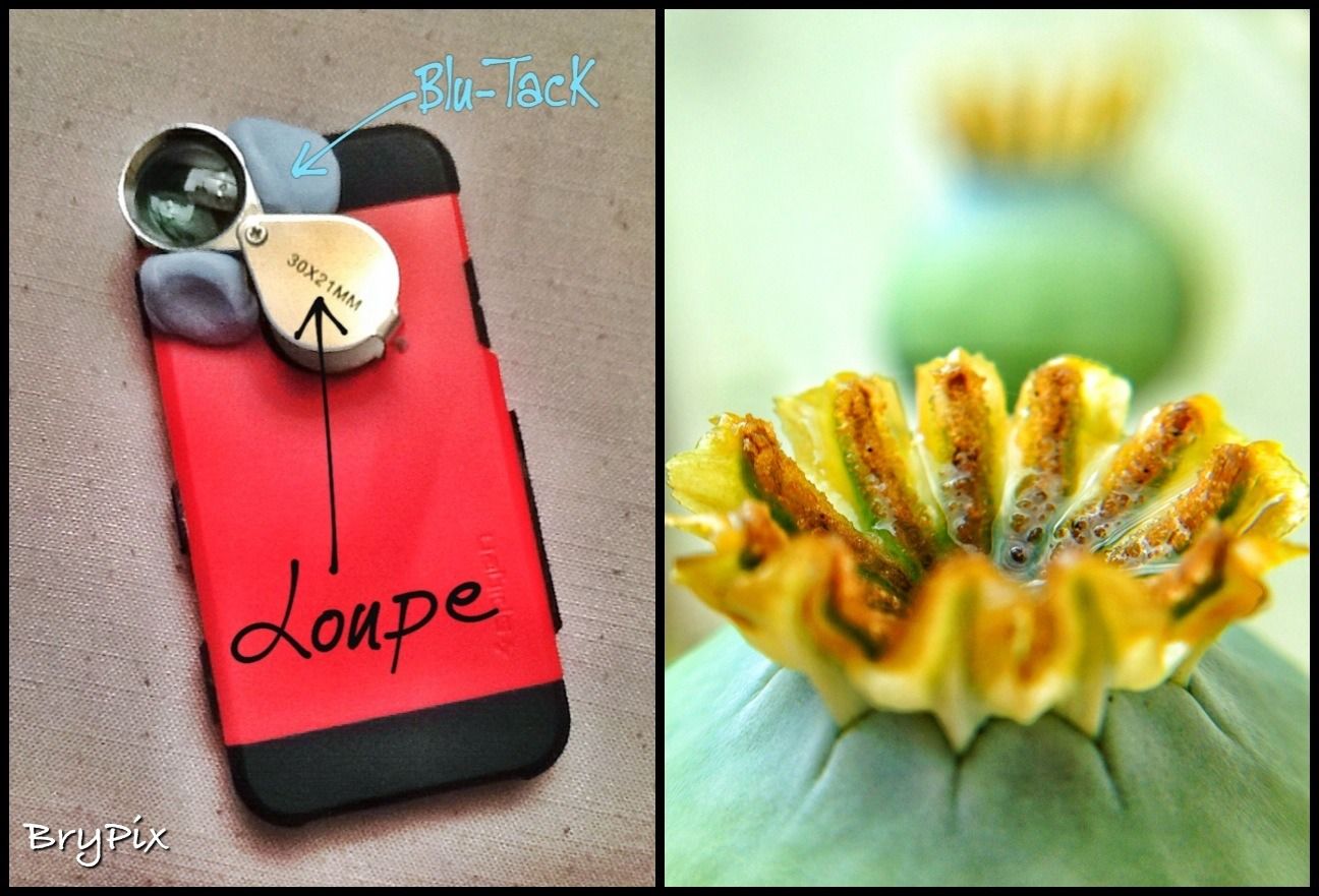 Phone camera macro setup