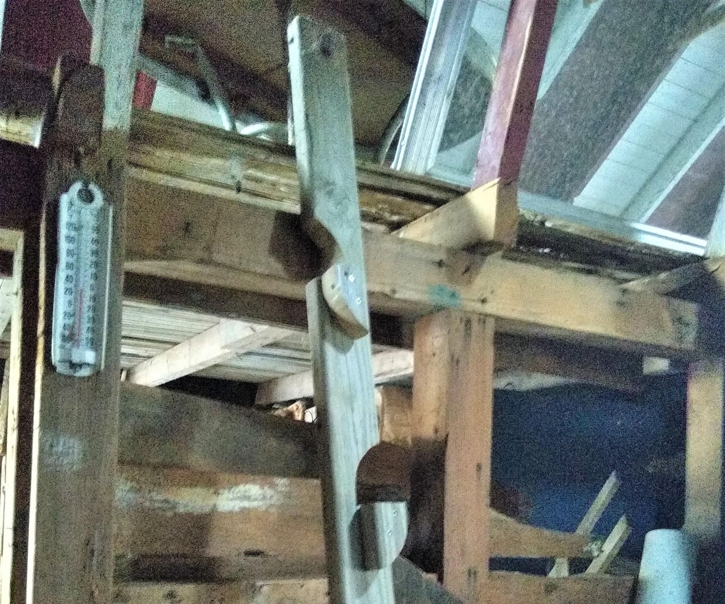 2x4 Ladder