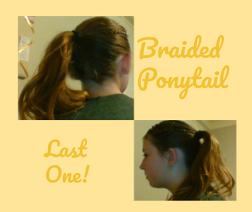 Braided Ponytail