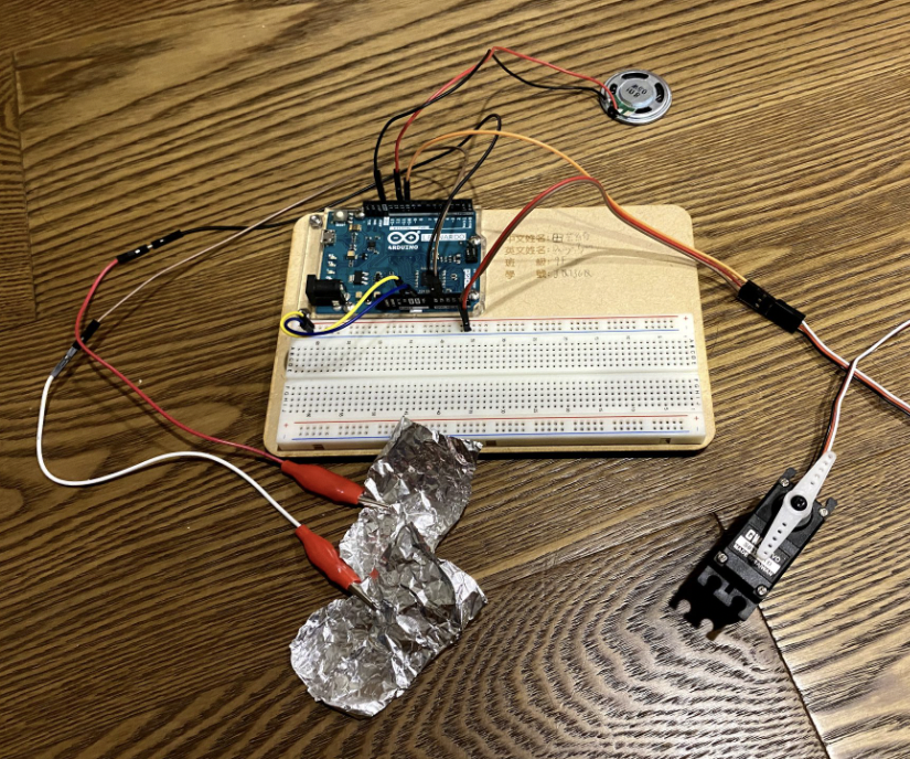 Cat Blocker With Arduino