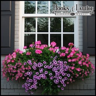 Self Watering Flower Boxes Are Better for Busy People