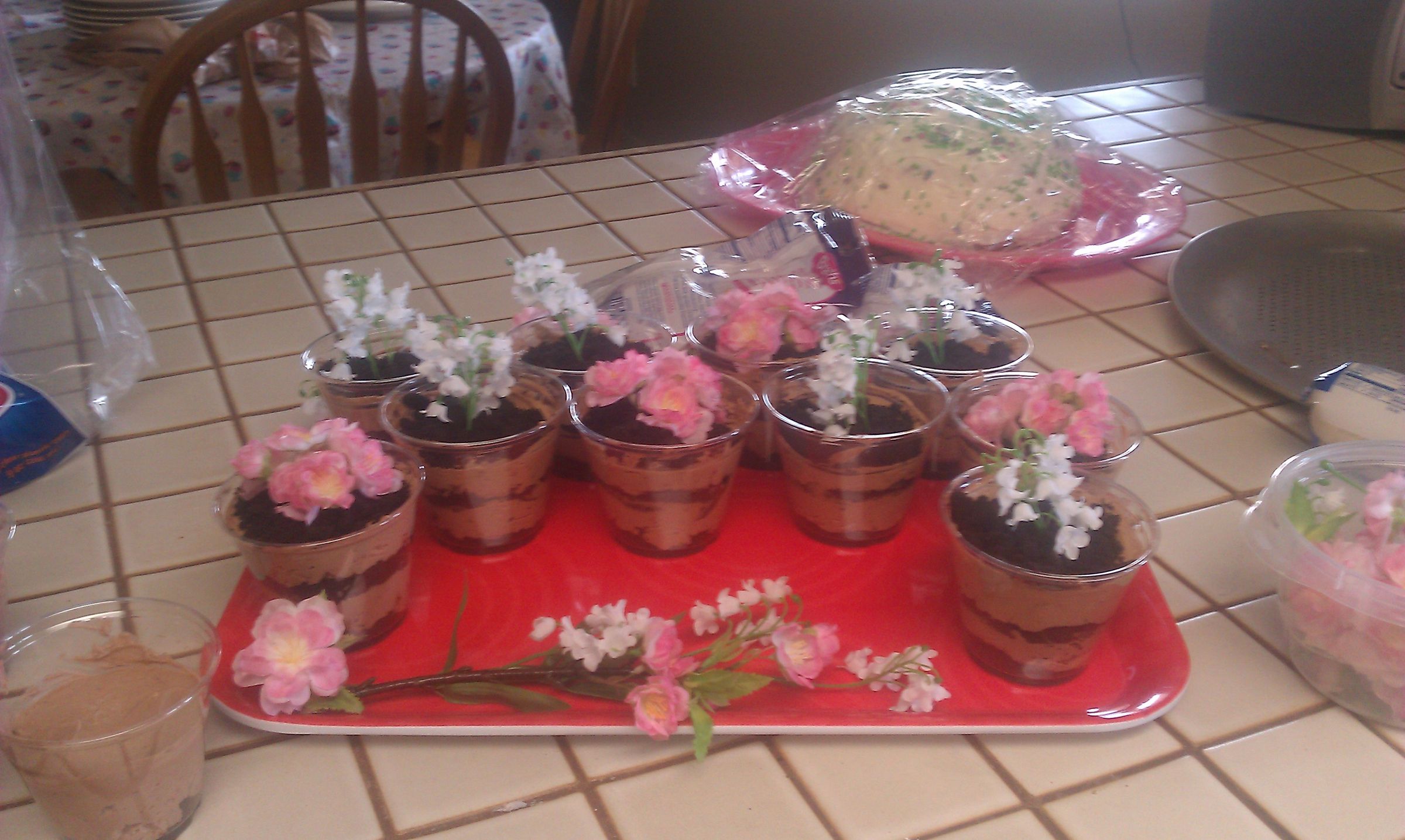 Dirt Cups