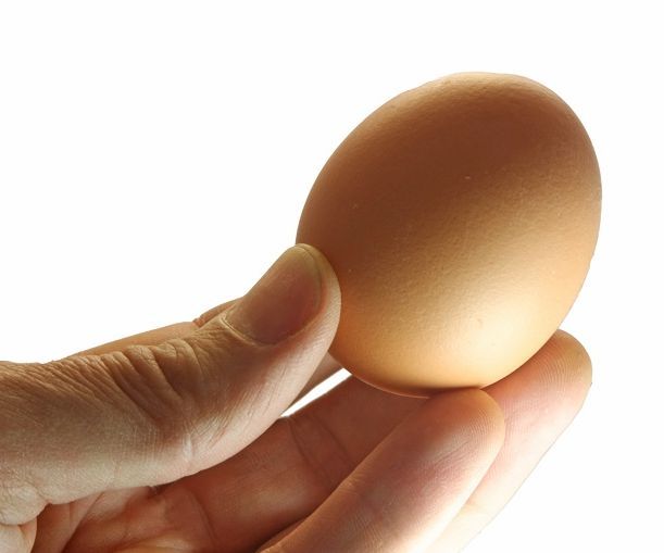 How To Pan Fry The Perfect Egg In One Minute 