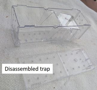 Prepare the Mouse Trap