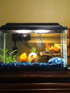 Tank