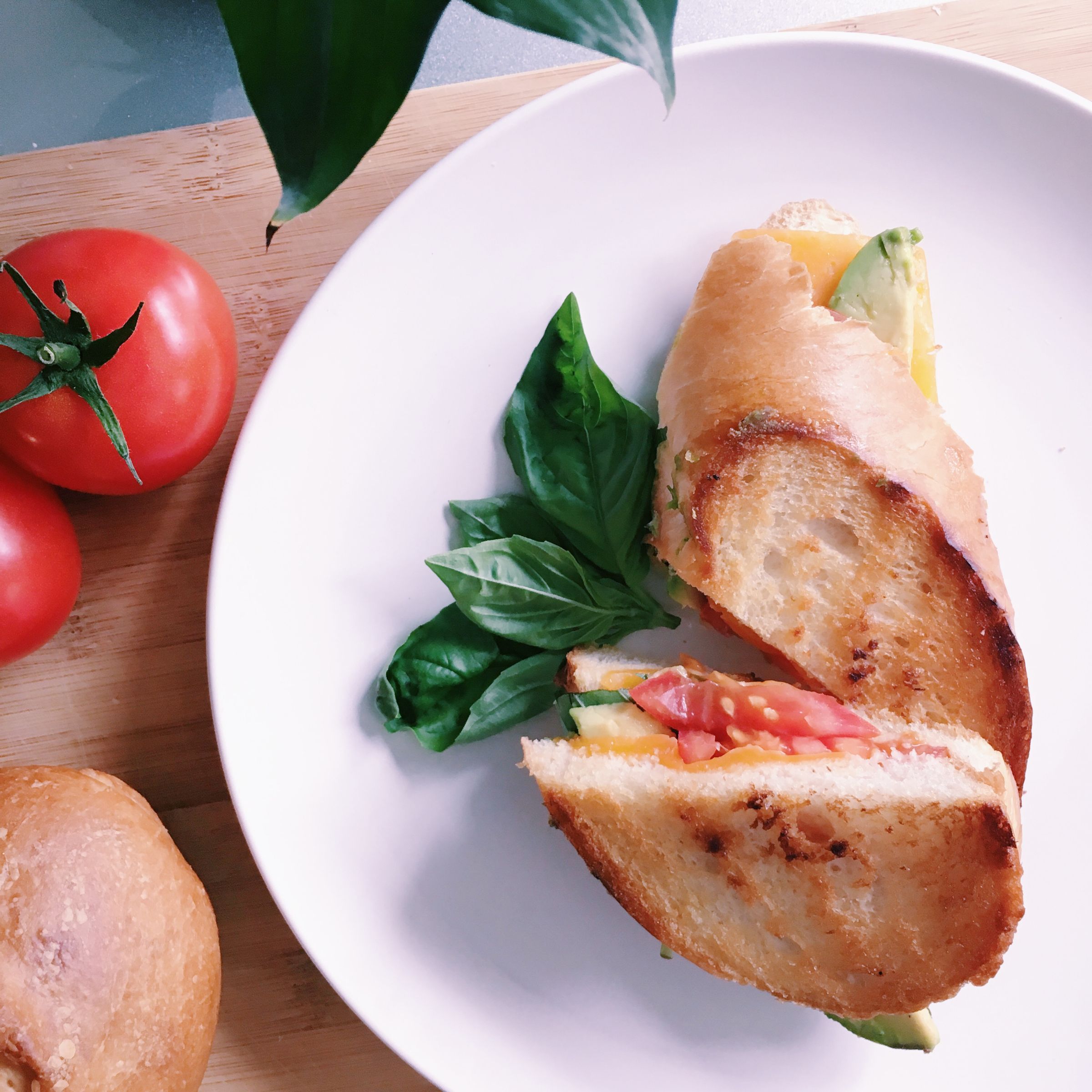 RECIPE TOMATO AVOCADO GRILLED CHEESE (with Pictures) Instructables