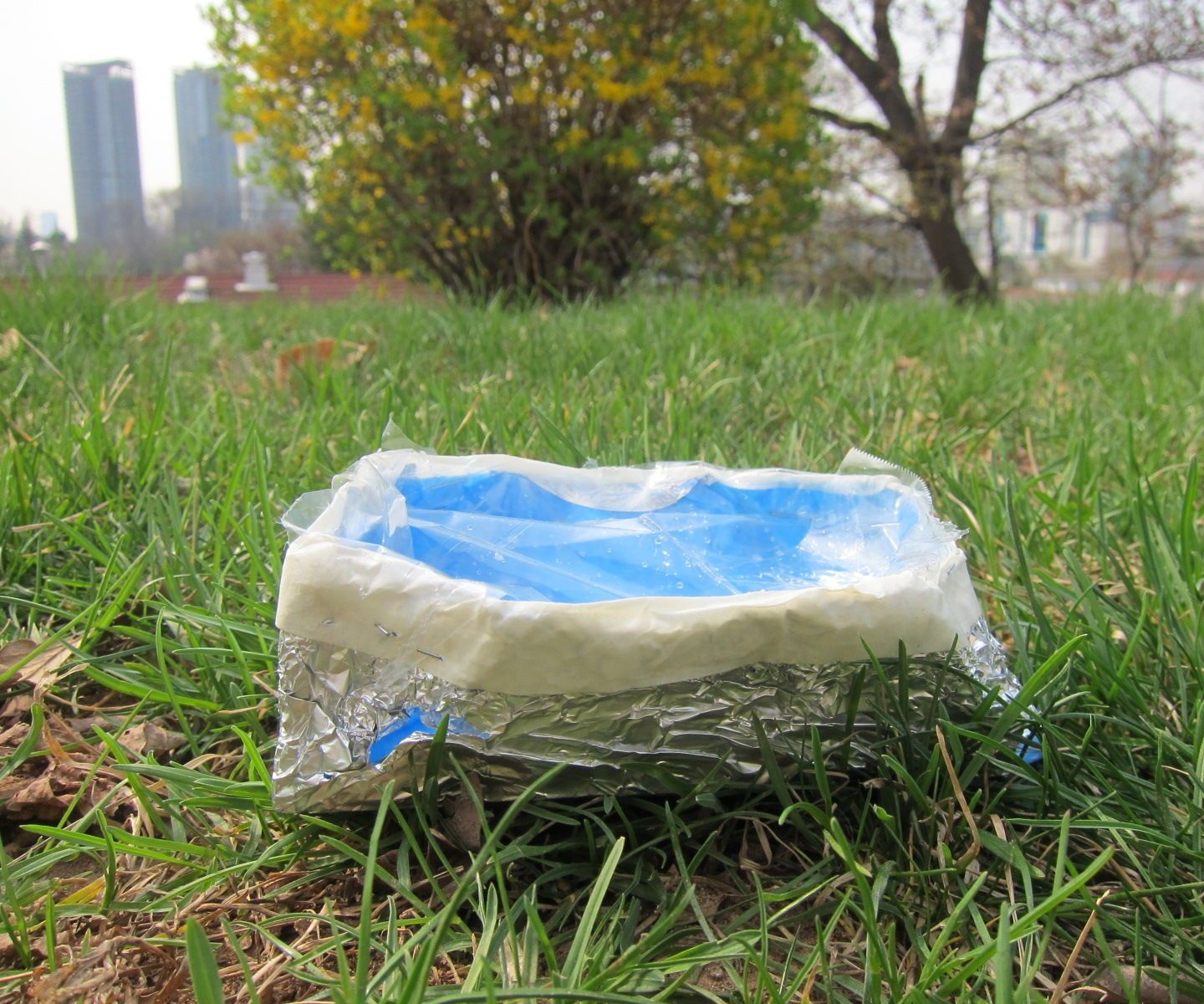 The BlueBox: a portable origami dog bowl that works!