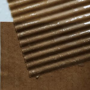 Cardboard Dissection and Challenge