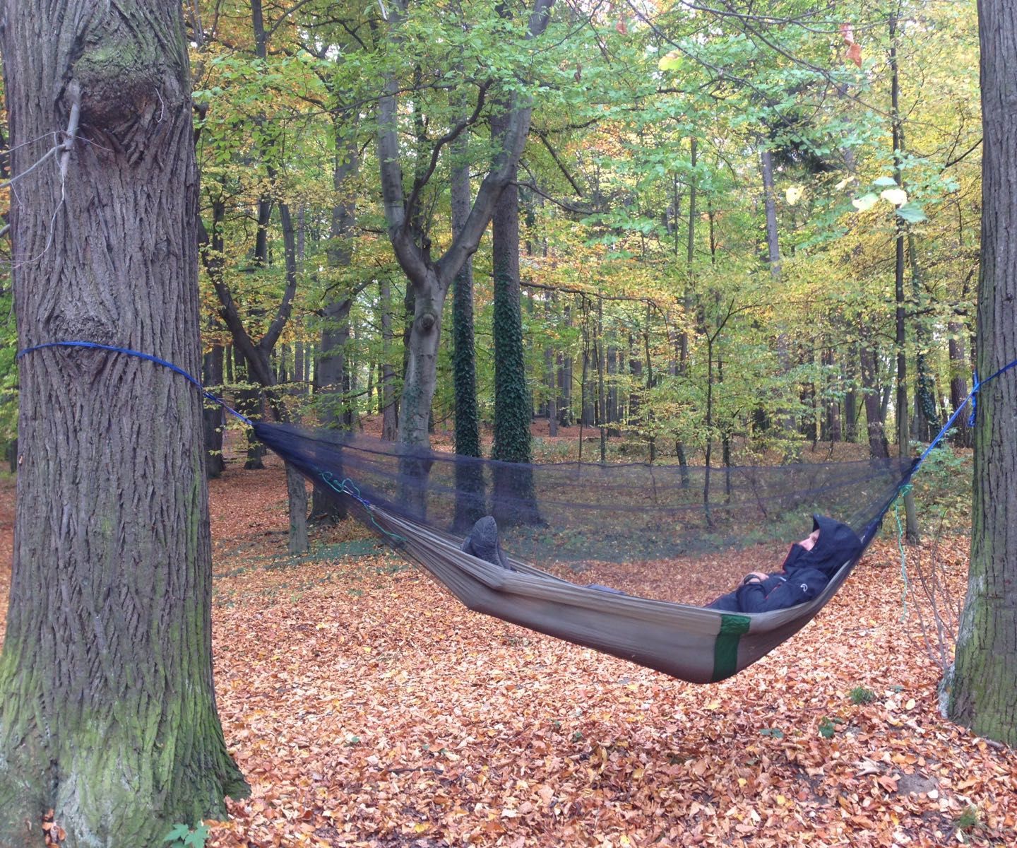 Simple Mosquito Netting for a Hammock.