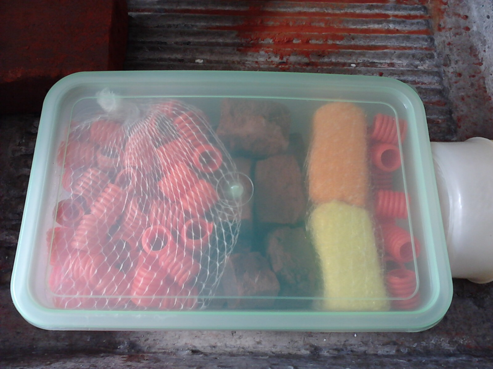 DIY Filter for Small Lake